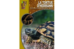 La tortue d'Hermann Guide Reptilmag